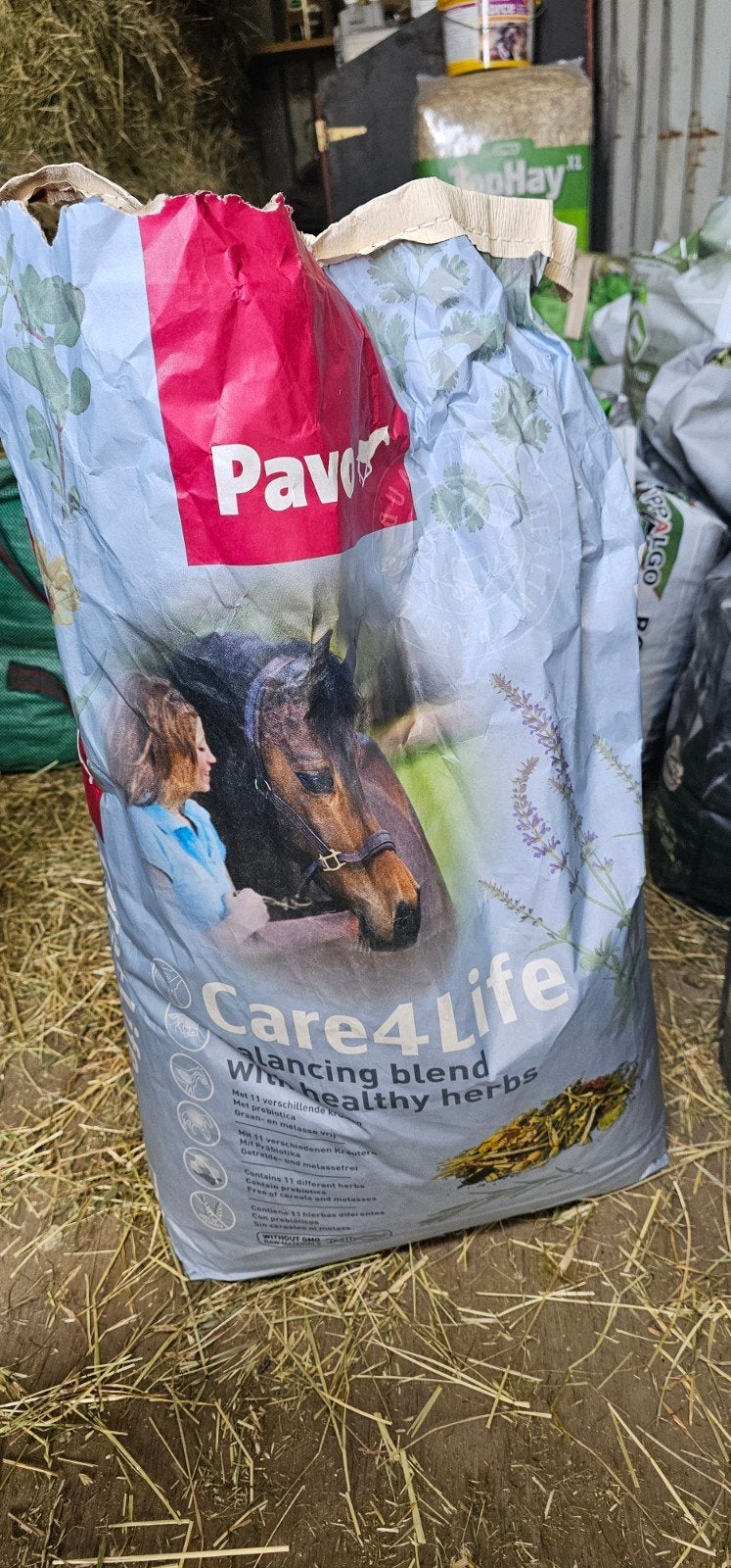 Pavo Care4Life, Enlèvement