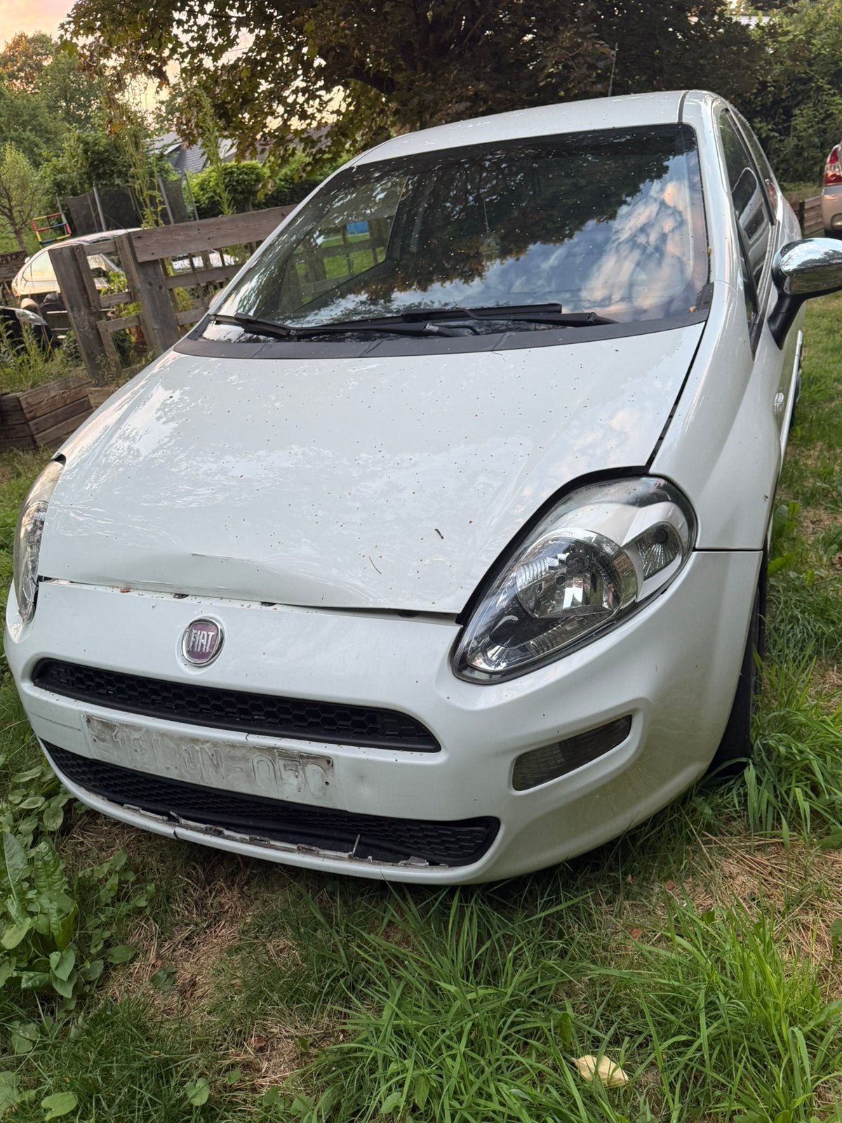 Fiat Punto, Auto's, Fiat, Voorwielaandrijving, Euro 5, Stof, Wit