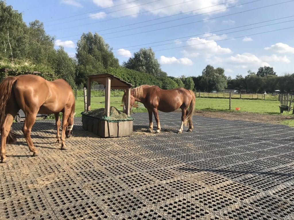 Weidematten / Mudcontrol, Dieren en Toebehoren, Stalling