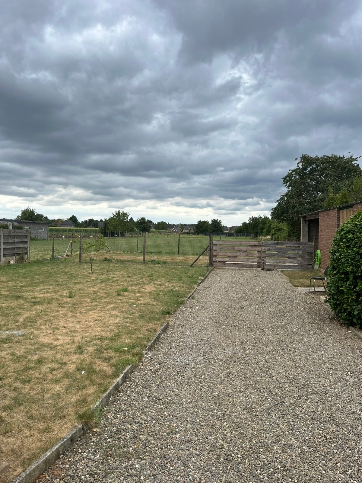 Zomerweide te huur!, Pâturage, 2 ou 3 chevaux ou poneys