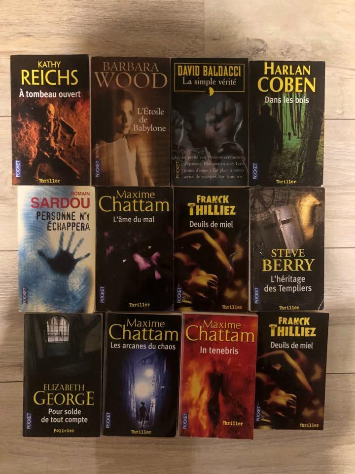 Livres policiers, thrillers, pollar : lot ou à l'unité, Boeken, Detectives, Ophalen, Gelezen