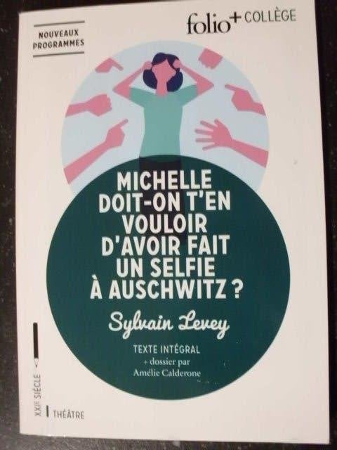 Michelle doit-on t'en vouloir d'avoir fait un selfie à Ausch, Sylvain levey, Enlèvement ou Envoi, Français, Comme neuf