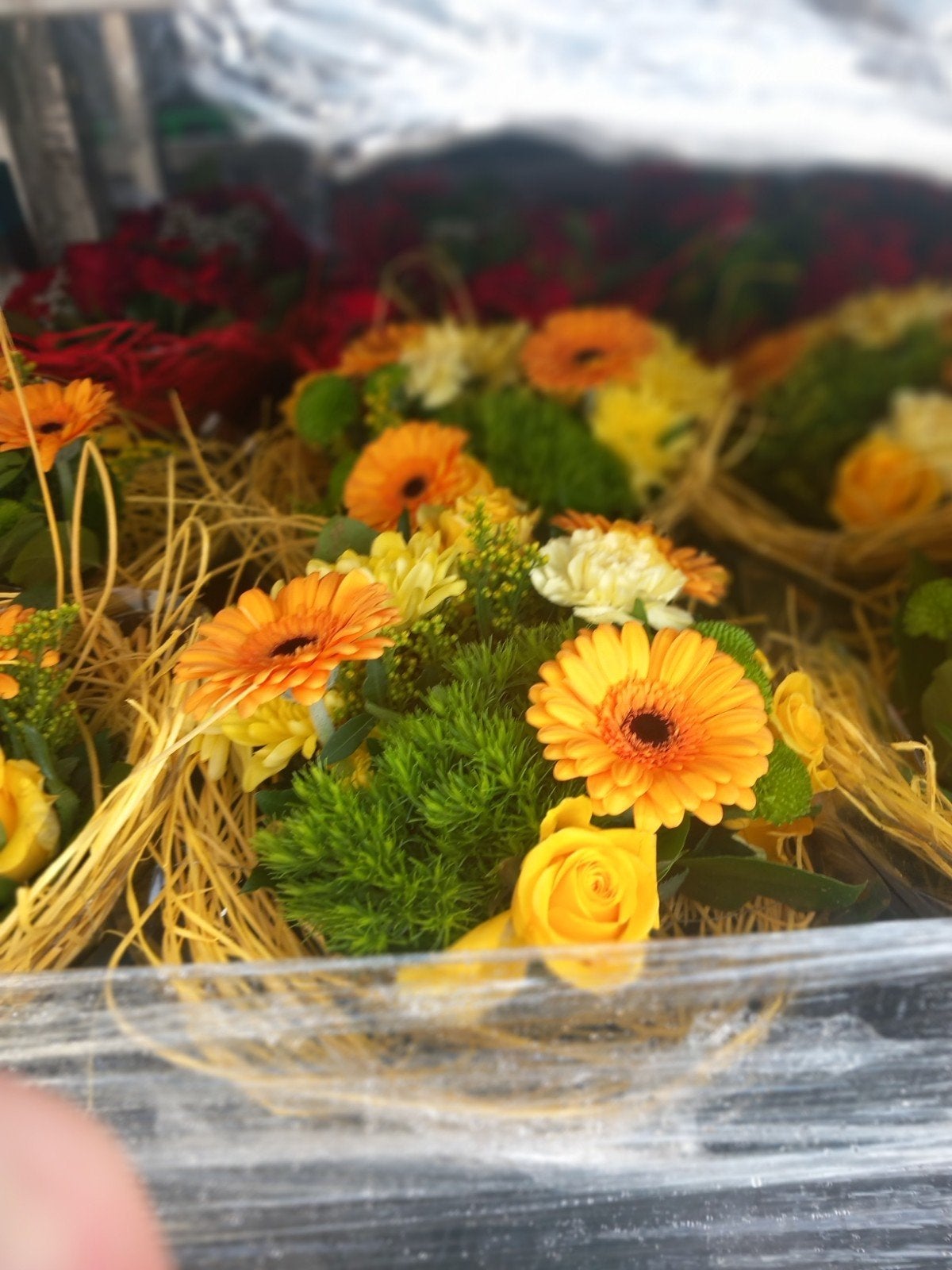 société de transport recherchée pour des fleurs et des fruit