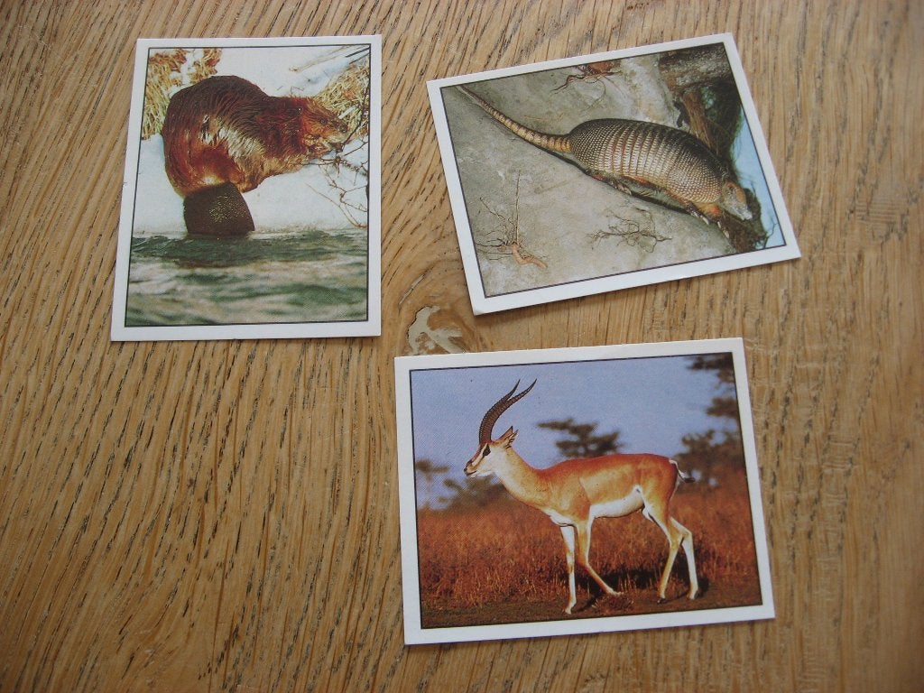 Autocollants Panini Vintage Animaux du Monde, Enlèvement ou Envoi, Neuf, Autres types