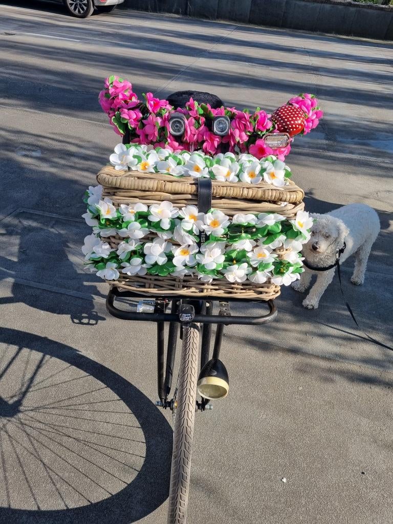 oma damensfiets, Terugtraprem, Gebruikt, Handrem, Ophalen