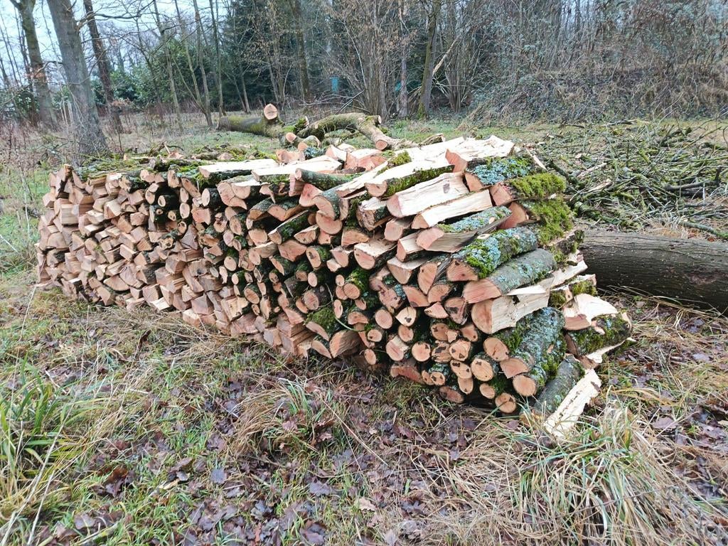 Bois de chauffage, Tuin en Terras, Brandhout