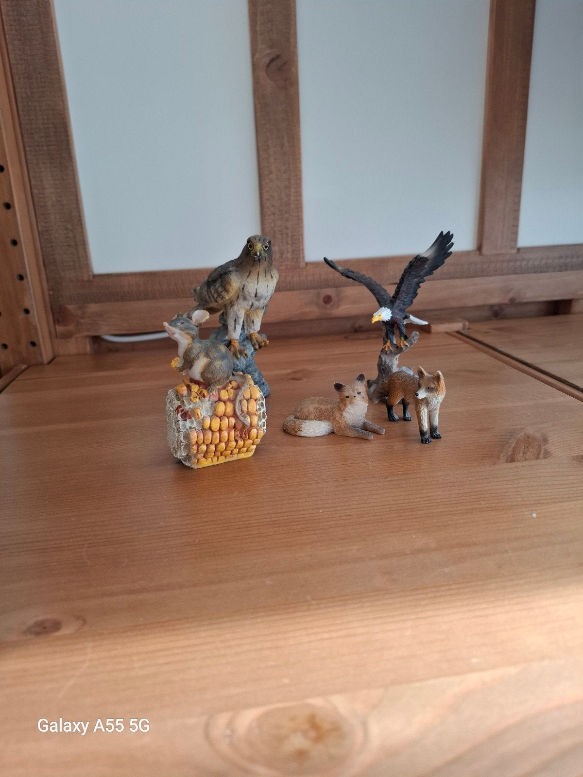 opruiming, Enlèvement, Comme neuf, Animal