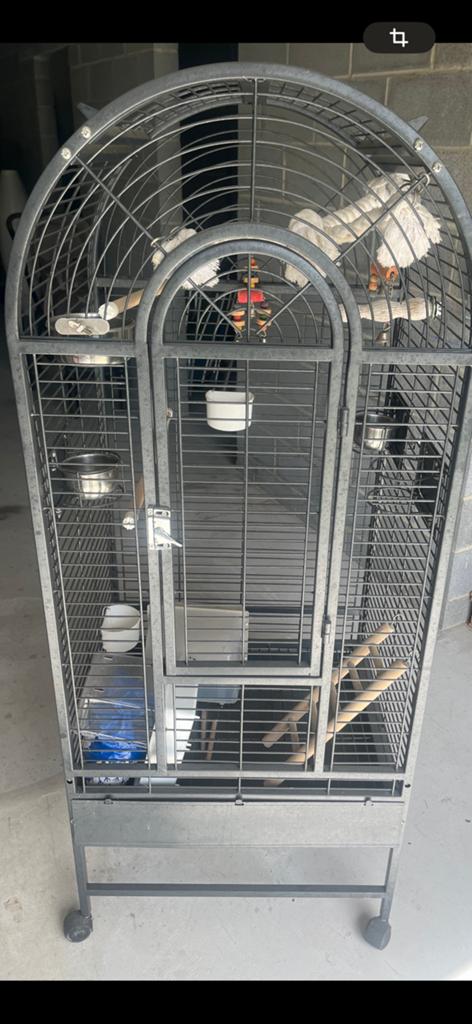 Cage perroquet, Enlèvement, Utilisé