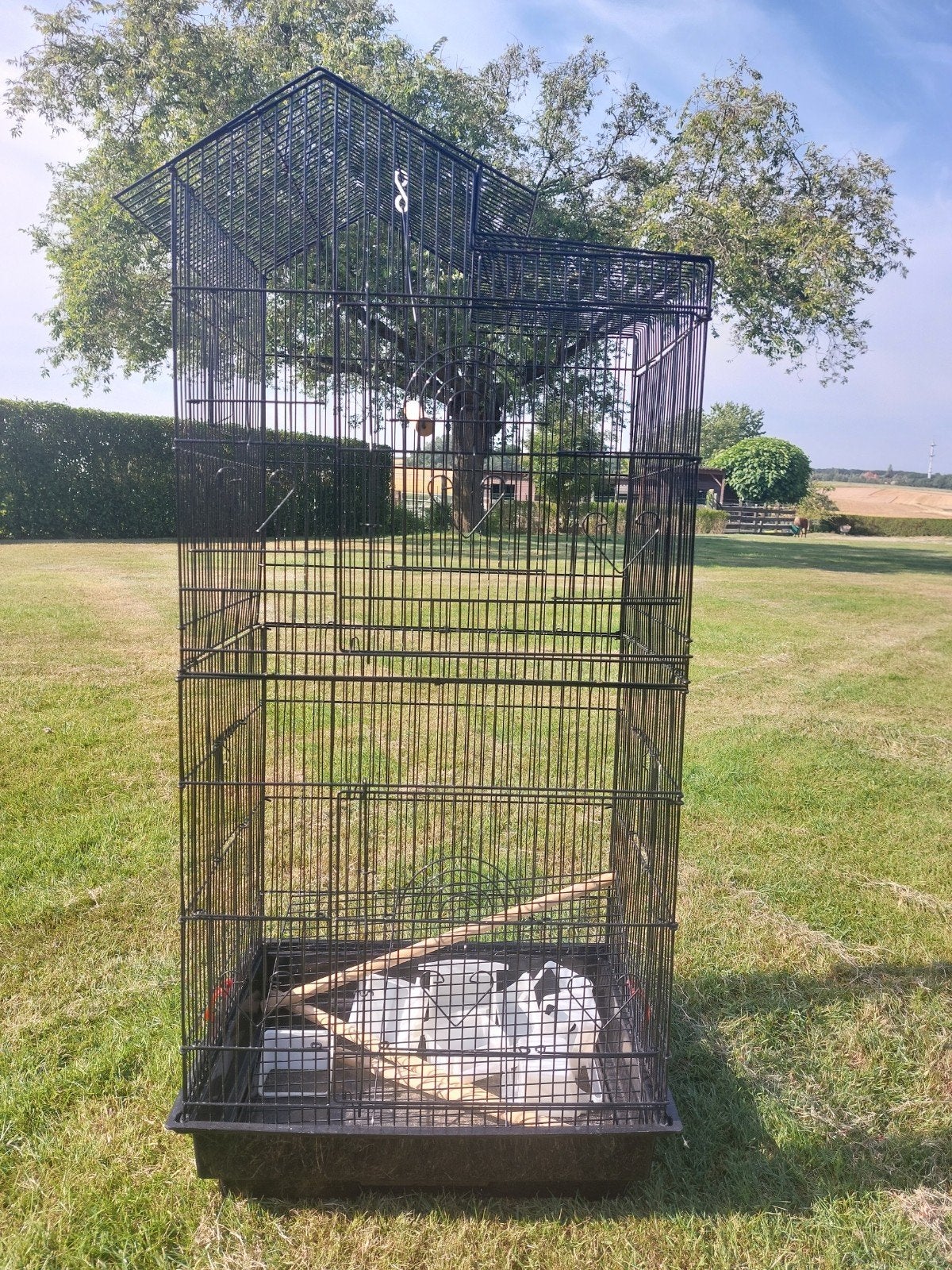 1 grote en 2 kleine vogelkooien, Dieren en Toebehoren, Ophalen