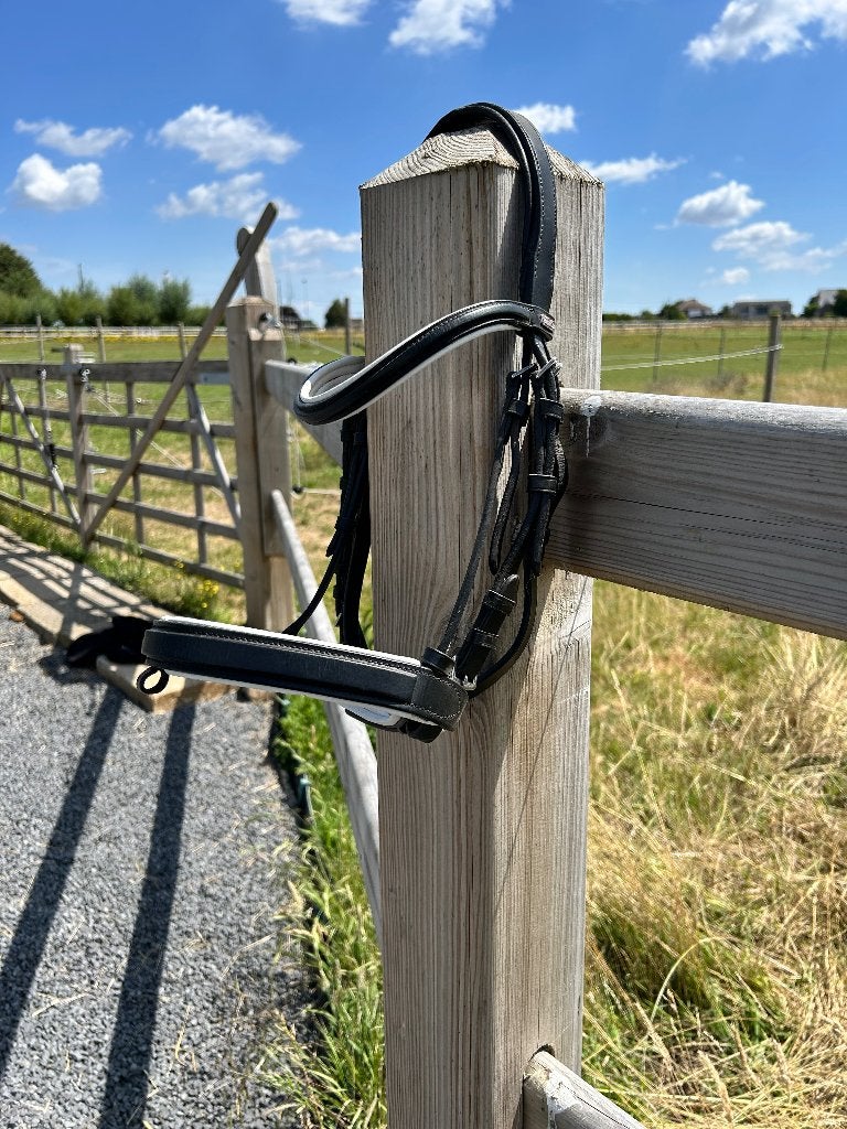 Dressuur hoofdstel, Dieren en Toebehoren, Ophalen, Hoofdstel, Cob, Dressuur