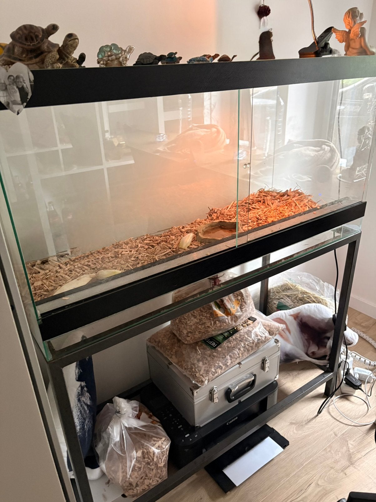 Terrarium, Animaux & Accessoires, Reptiles & Amphibiens | Accessoires, Enlèvement, Utilisé