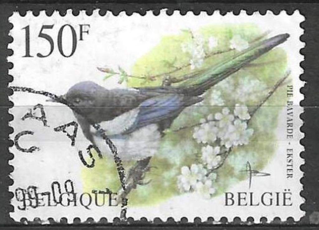 Belgie 1997 - Yvert 2696 /OBP 2697 - Buzin - Ekster (ST), Postzegels en Munten, Postzegels | Europa | België, Verzenden, Gestempeld