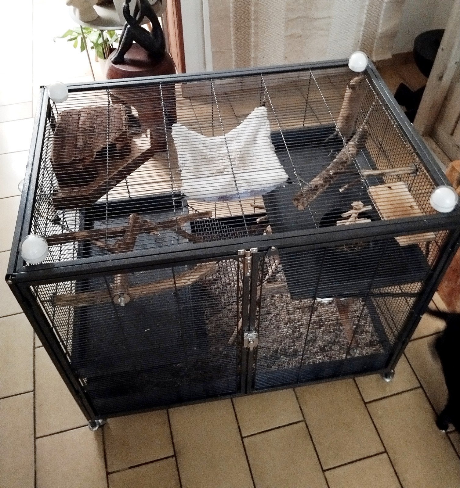 Grote kooi met twee degoes, Ophalen, Kooi