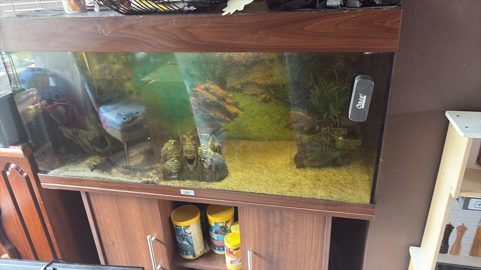 Juwel rio 180 te koop, Animaux & Accessoires, Poissons | Aquariums & Accessoires, Utilisé, Aquarium d'eau douce rempli, Télécommande incluse