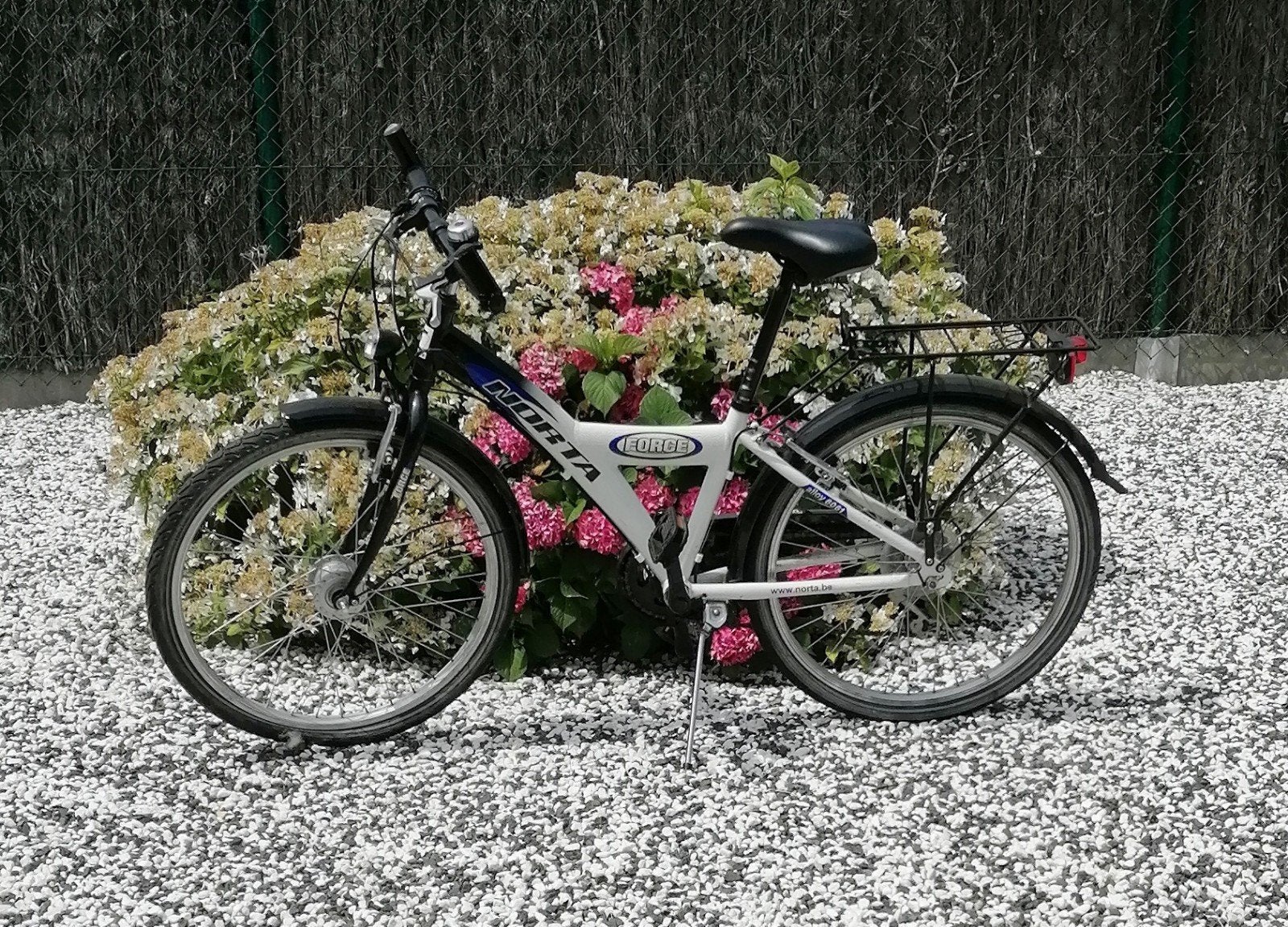 Jongensfiets Norta force, Fietsen en Brommers, Fietsen | Vouwfietsen, Ophalen