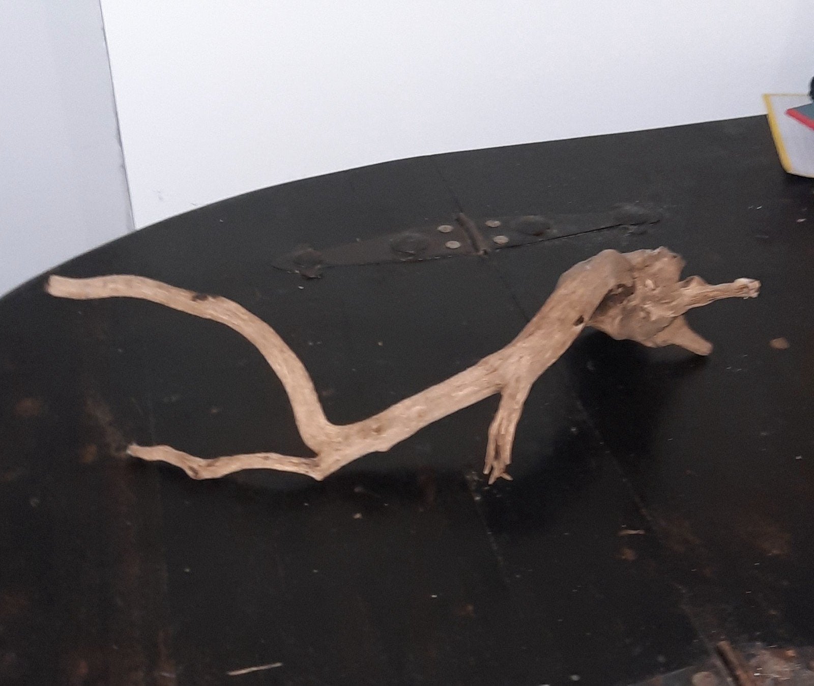 Kienhout decoratie hout voor in een aquarium of reptile tank, Enlèvement ou Envoi, Utilisé, Decoratie