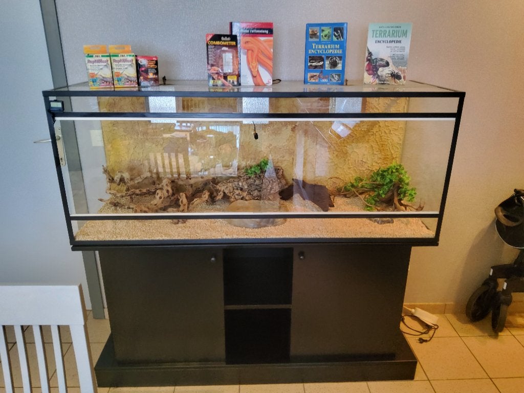 Terrarium  met kast izgs, Enlèvement, Comme neuf, Terrarium ou Paludarium