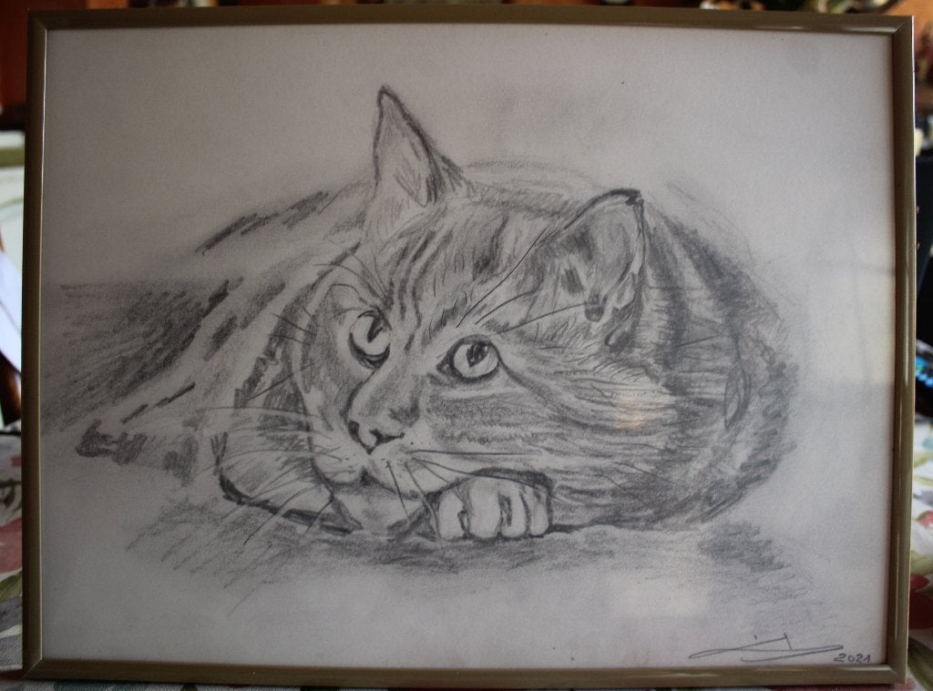 Ingelijste a3 potloodtekening, Verzenden, Zo goed als nieuw, Potlood of Stift