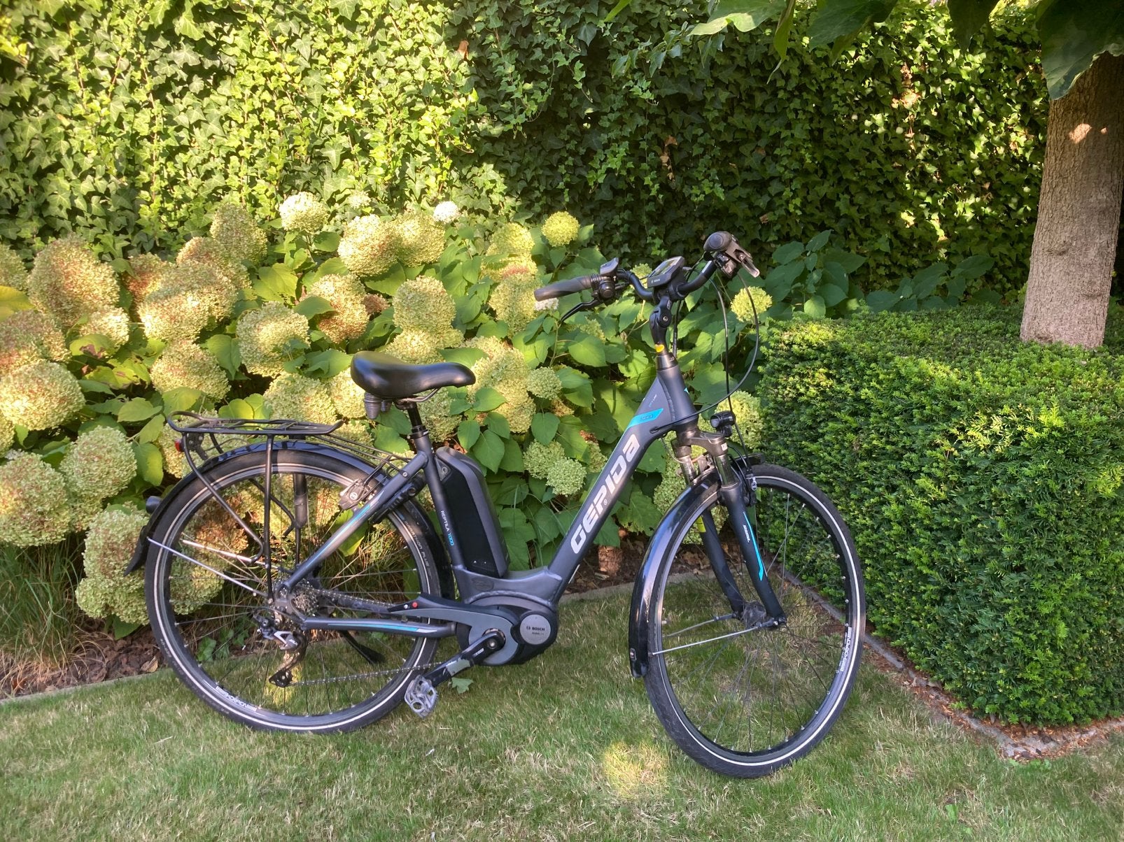 Gepido Reptile 1000, Autres marques, 47 à 51 cm, 50 km par batterie ou plus, Enlèvement