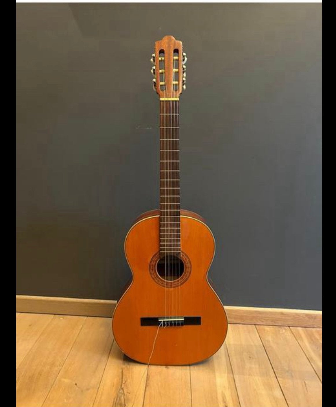 Guitare franscico Esteve 1housse et 1 pose pied, Musique & Instruments, Enlèvement
