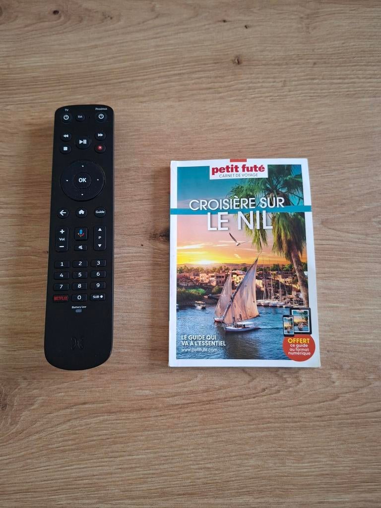 Croisière sur le Nil - Petit futé carnet de voyage, Guide ou Livre de voyage, Le Petit Futé, Comme neuf, Enlèvement