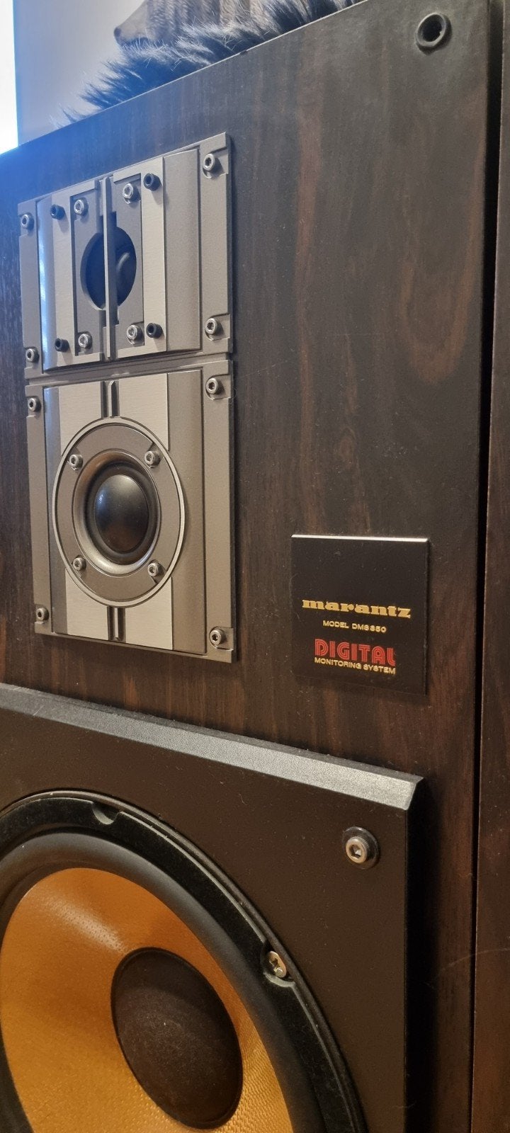 Marantz dms 350, Audio, Tv en Foto, Luidsprekerboxen, Ophalen