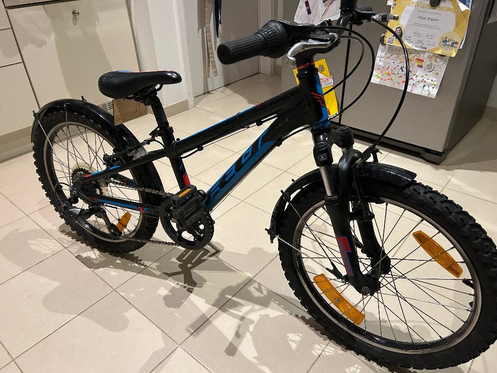 Felt jongensfiets maat 20, Ophalen, Gebruikt, Velgrem, Versnellingen