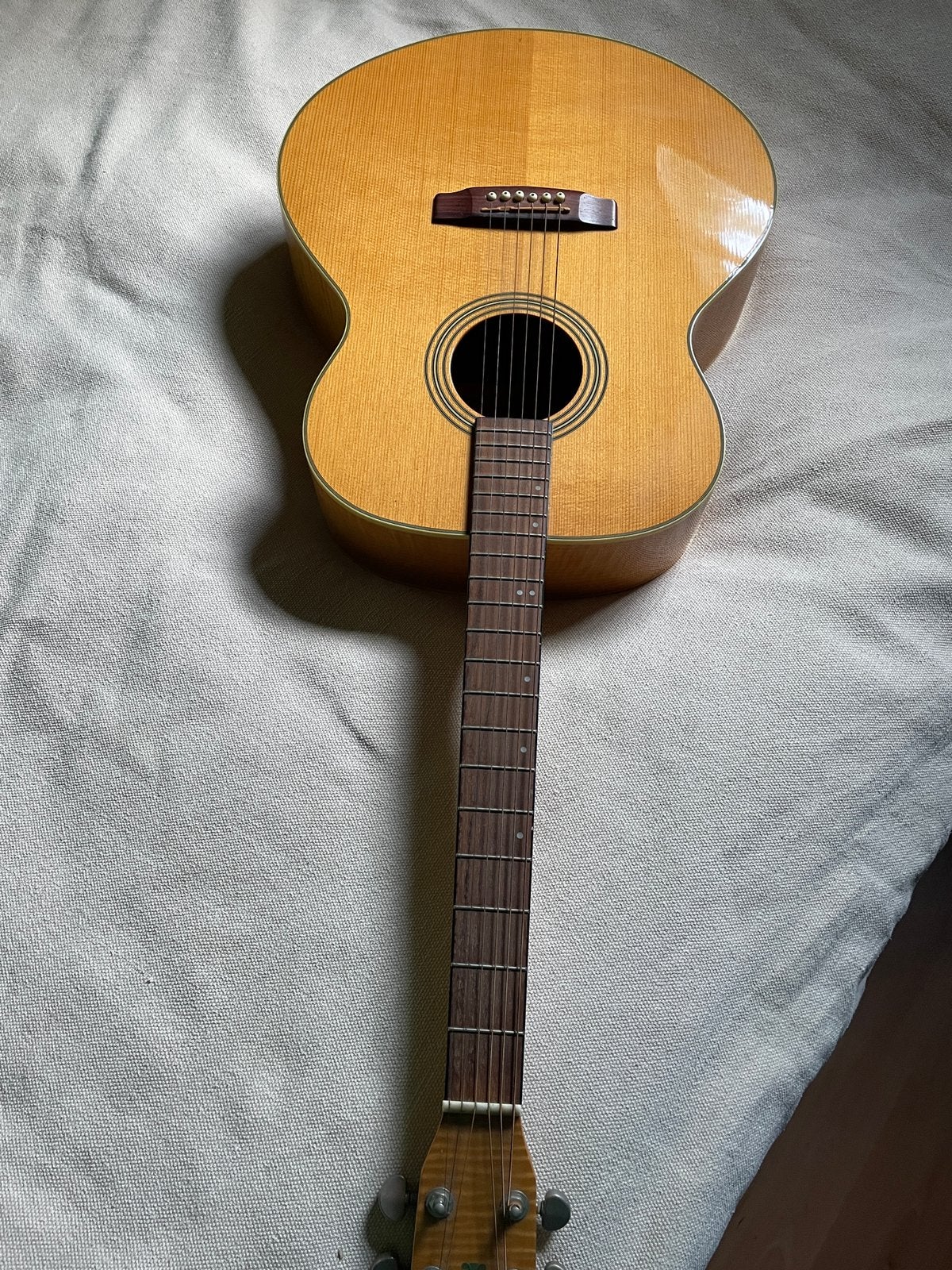 Cort gitaar, Enlèvement, Utilisé