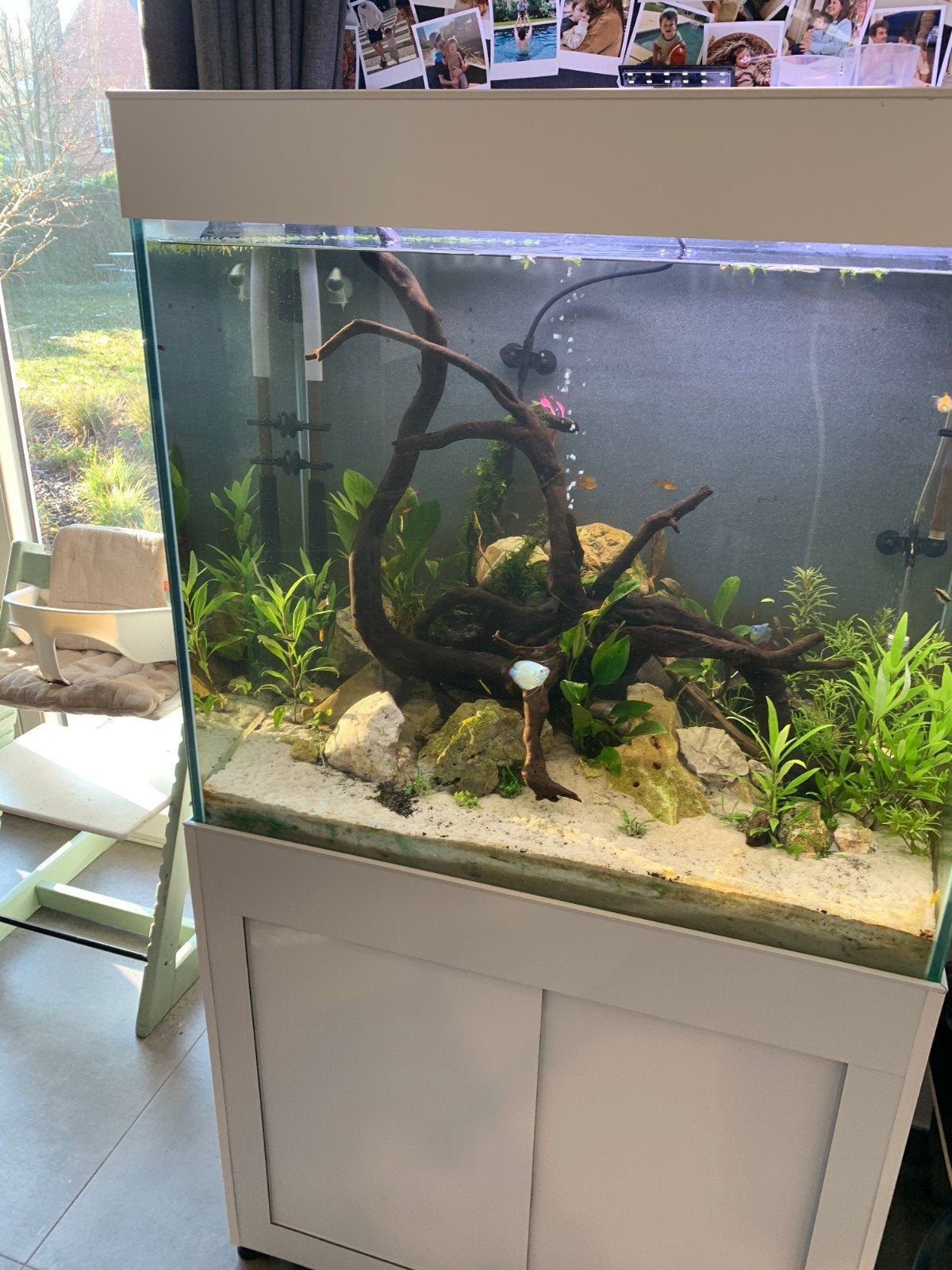 Hoog aquarium met kast, Enlèvement, Filter