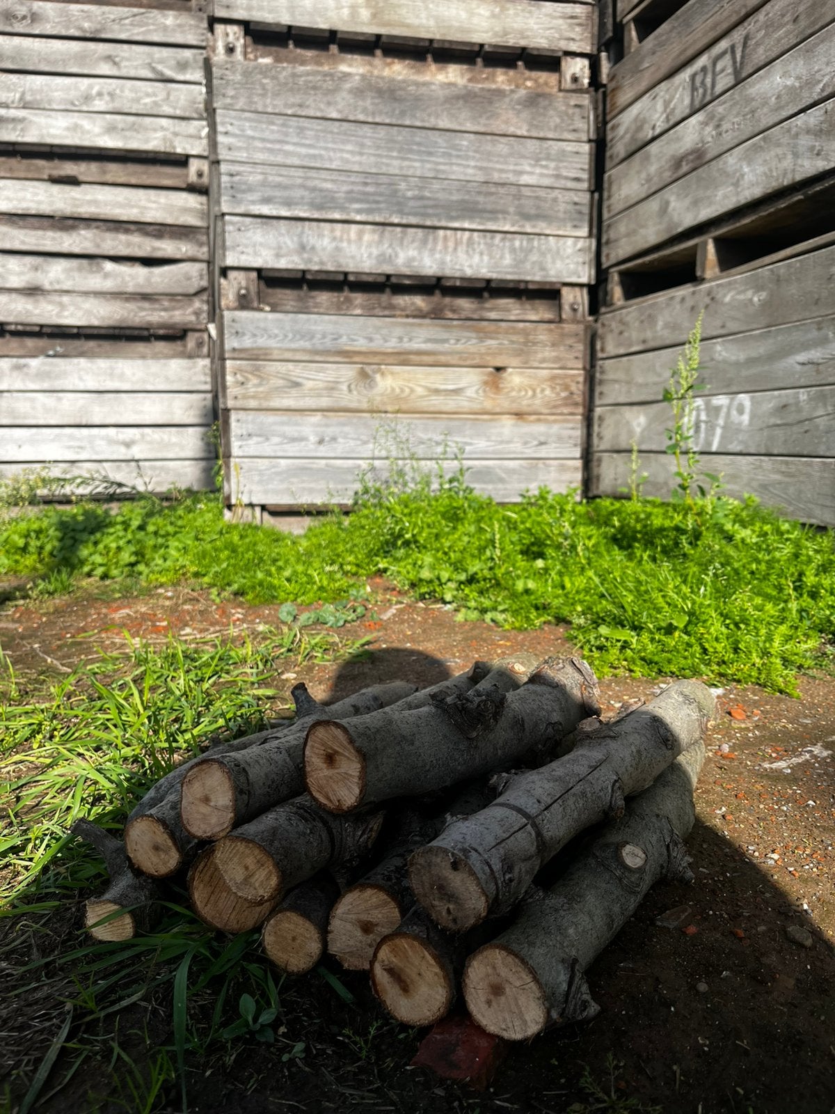 Droog brandhout – Perenhout – 3 jaar gedroogd Sint-Truiden, 6 m³ ou plus, Enlèvement ou Envoi, Autres essences de bois, Bûches