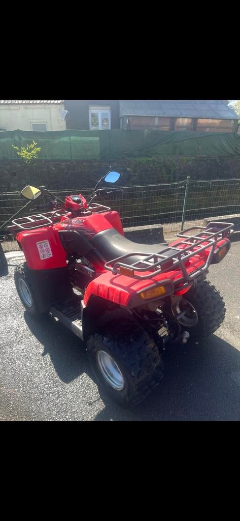 Quad Masai A300, 11 kW of minder, 262 cc, 1 cilinder