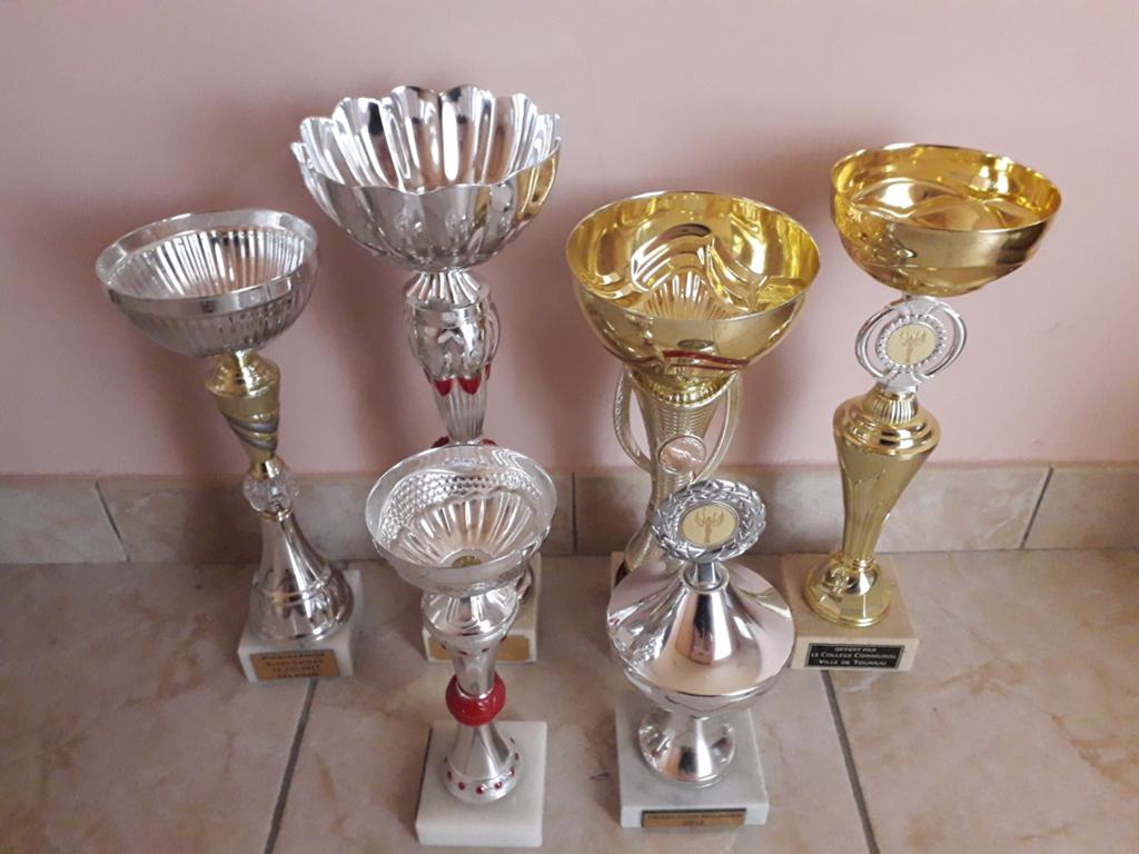 Trophée 6 pièces, Antiquités & Art, Enlèvement