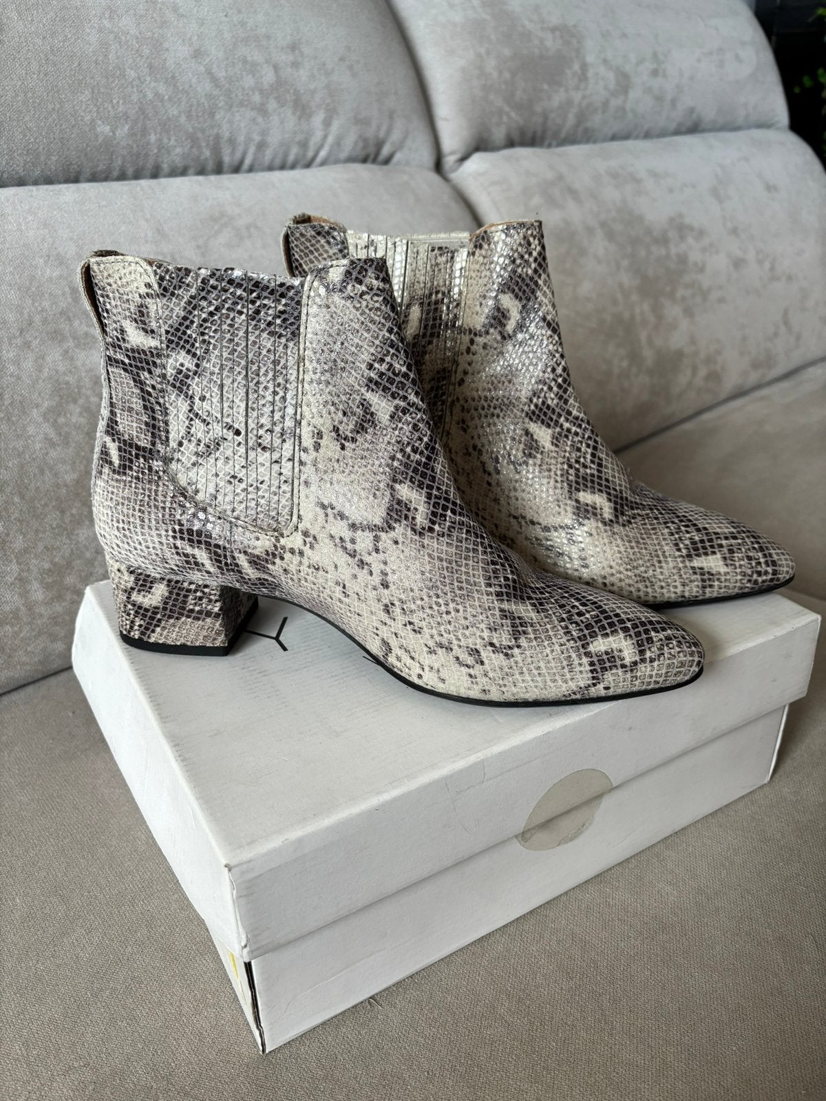 Bottines neuves motif animal, Neuf, Autres couleurs, Enlèvement, Boots et Botinnes