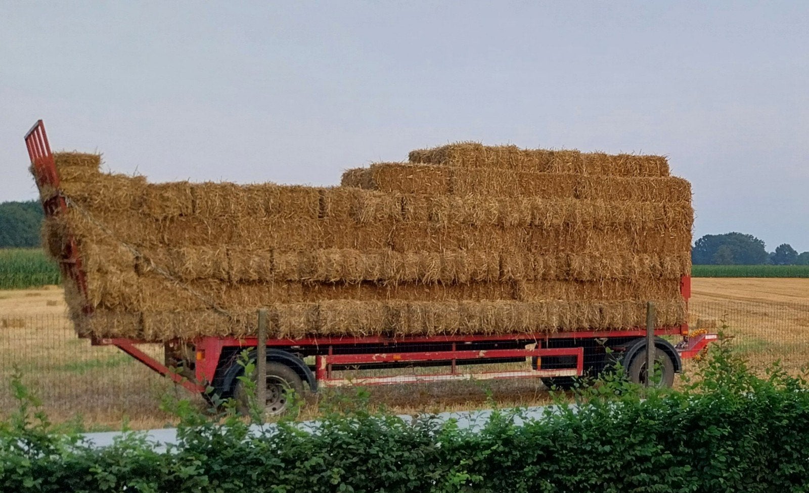 tarwe stro kleine balen, Enlèvement