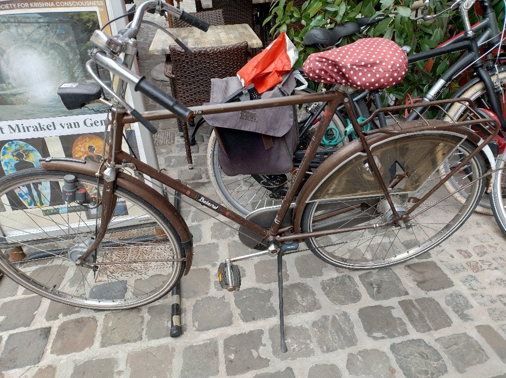 Batavus klassieke stadsfiets, Fietsen en Brommers, Fietsen | Heren | Herenfietsen, Ophalen, Gebruikt, Versnellingen, Batavus
