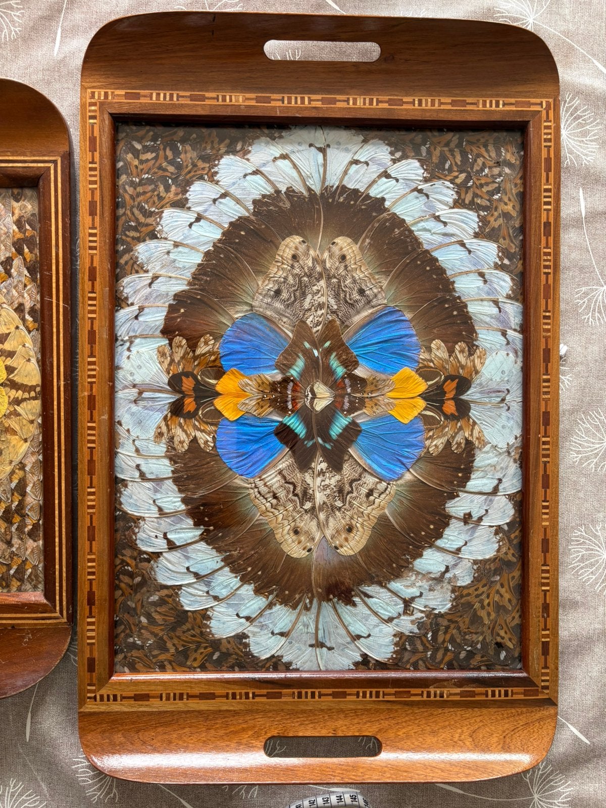 Vintage dienbladen vlinderkunst, Ophalen, Gebruikt