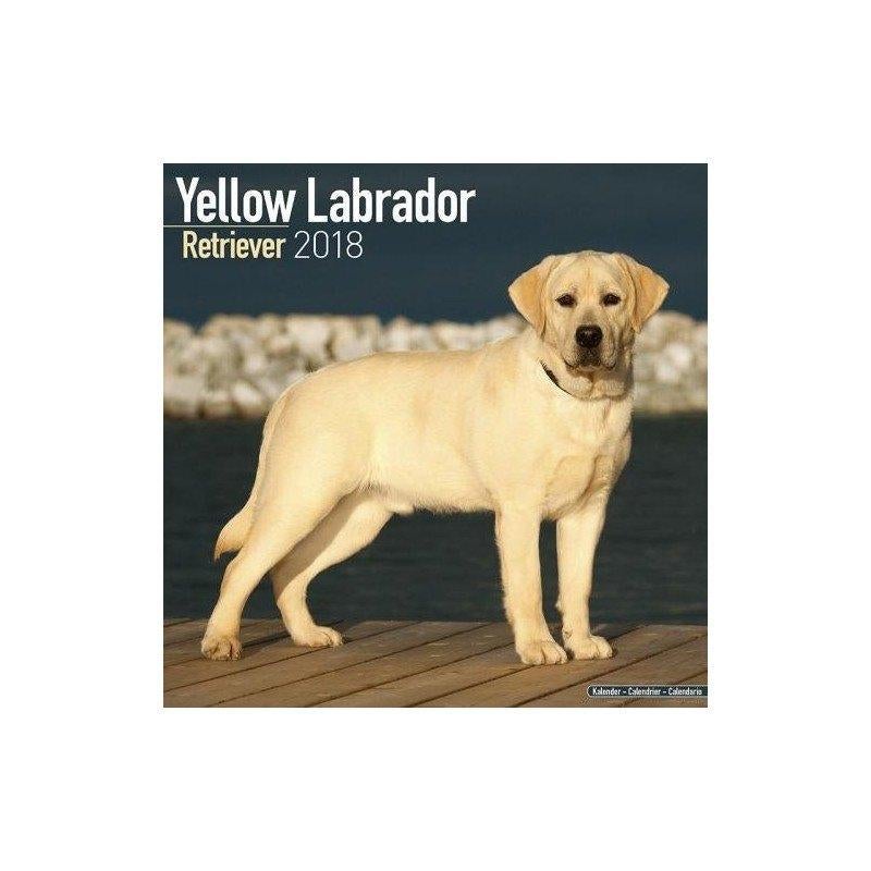 Calendrier Labrador Retriever 2018, Divers, Calendriers, Neuf, Calendrier annuel, Enlèvement ou Envoi