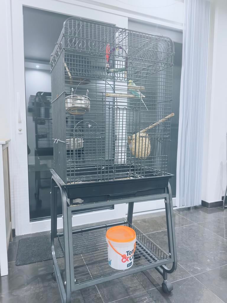 Cage à oiseaux, Animaux & Accessoires, Enlèvement, Comme neuf, Cage à oiseaux