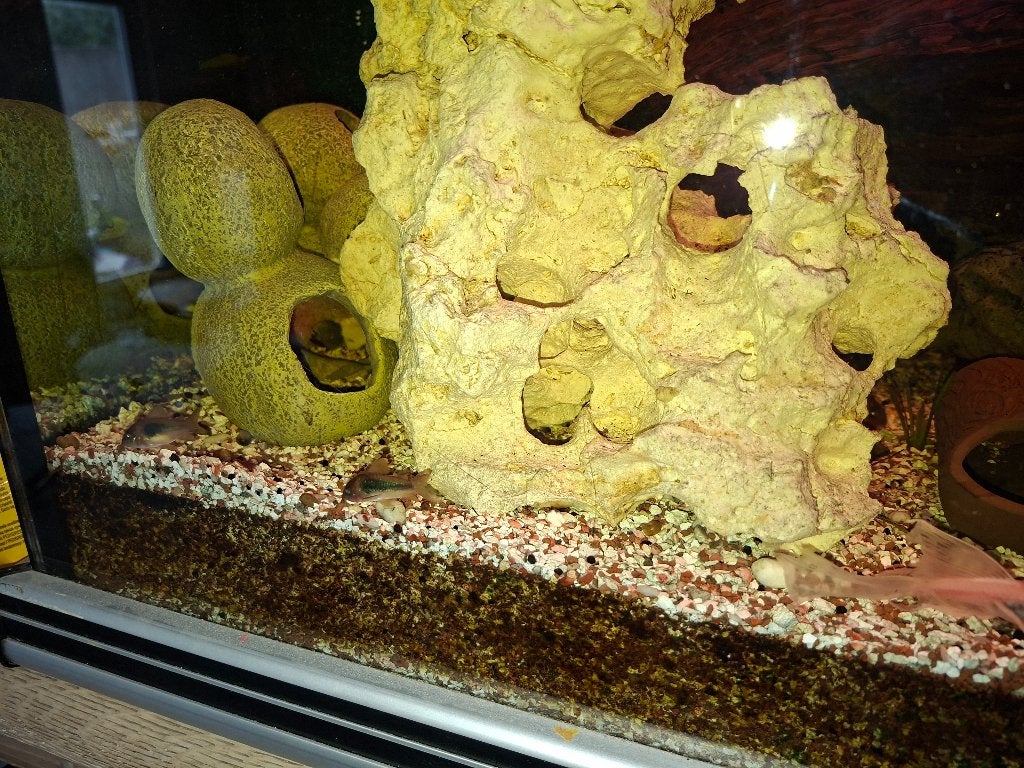 Aquarium, Dieren en Toebehoren, Ophalen, Filter