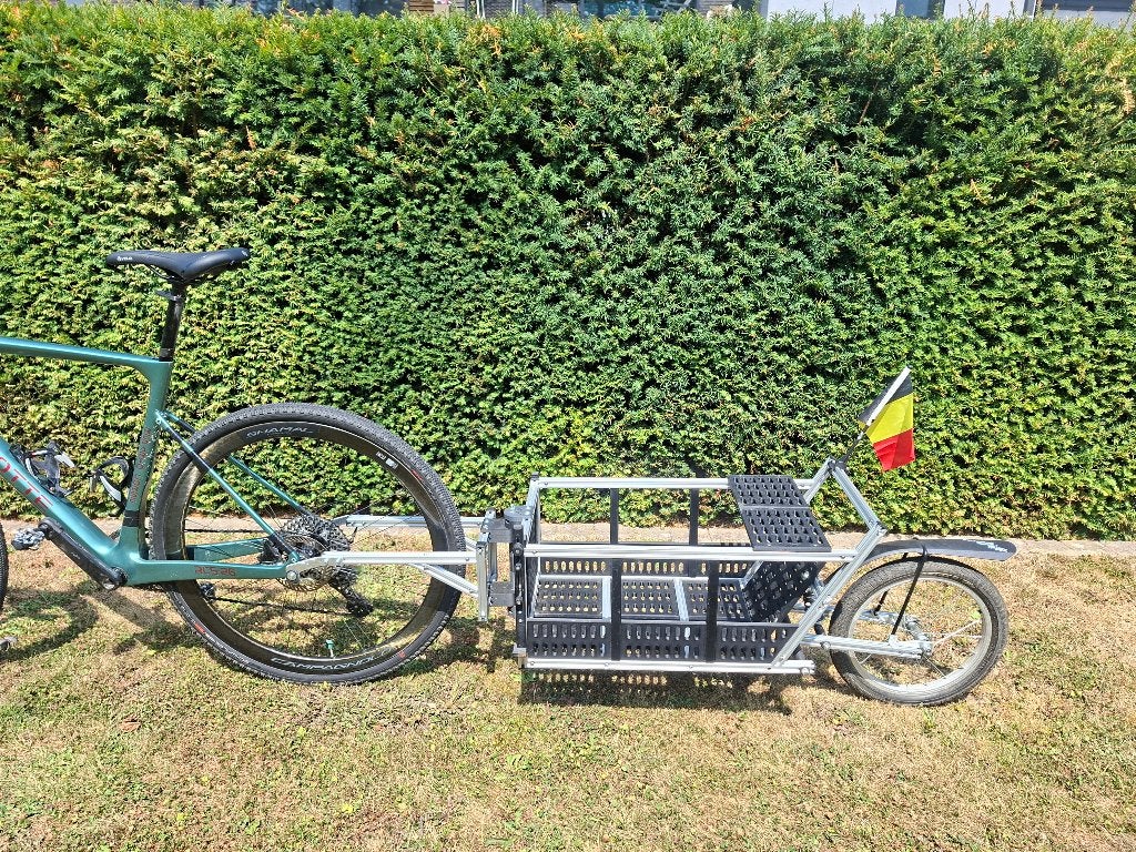 Fietskar, Fietsen en Brommers, Fietsaccessoires | Aanhangwagens en Karren, Zo goed als nieuw, Bagagekar, Minder dan 20 kg, Vering