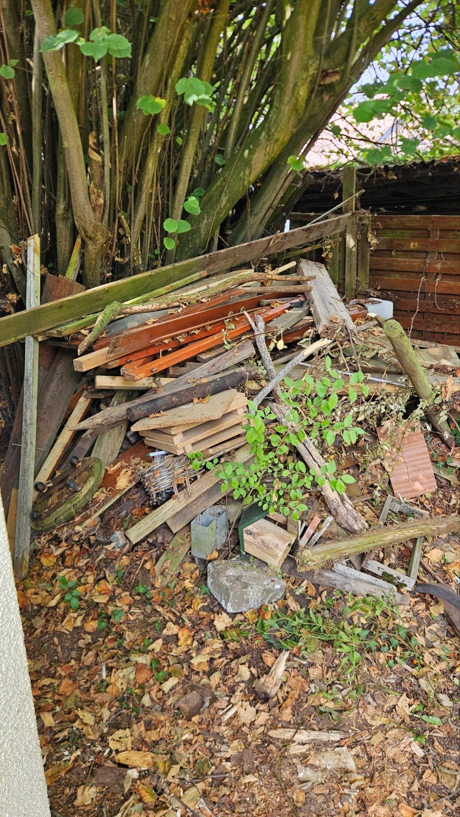 gratis brand- en sloophout., 6 m³ ou plus, Enlèvement, Autres essences de bois