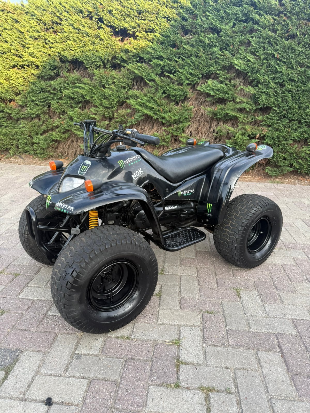 Addly 80 cc 2 takt quad, Motoren