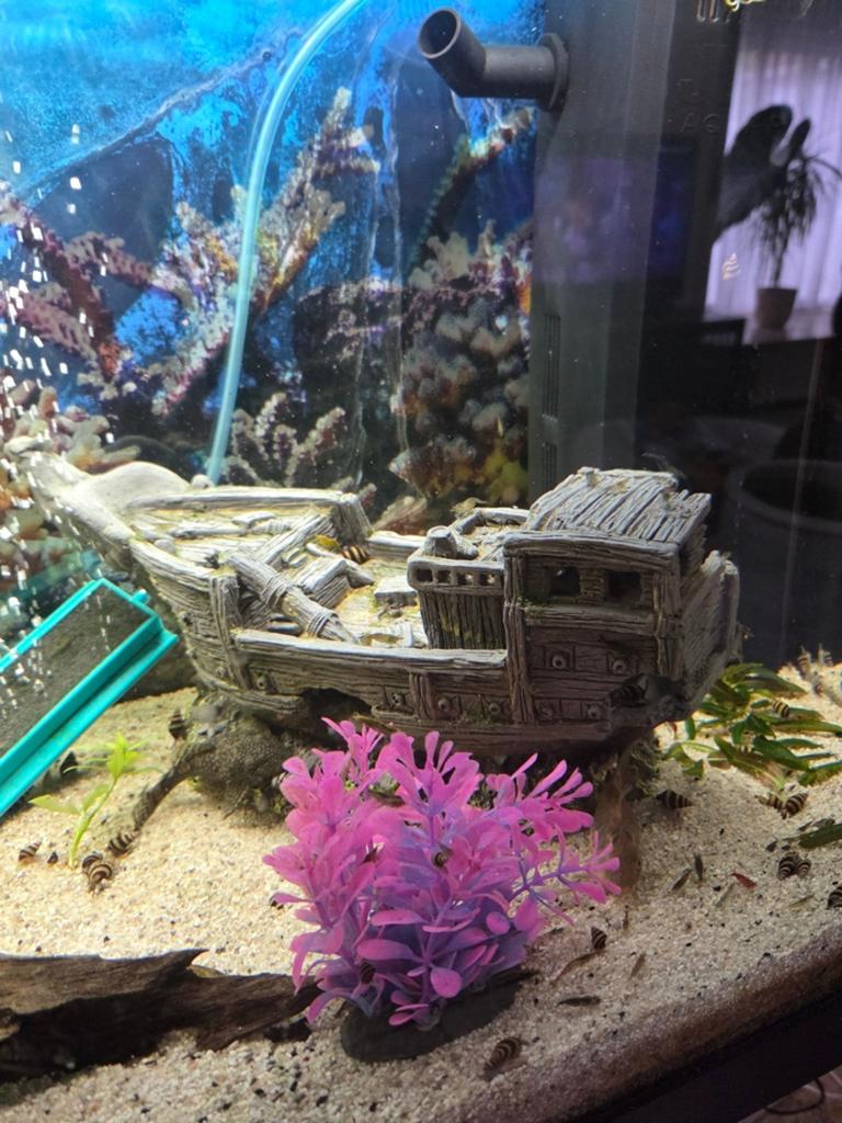 Verschillende decoratie voor in aquarium, Dieren en Toebehoren, Ophalen, Decoratie