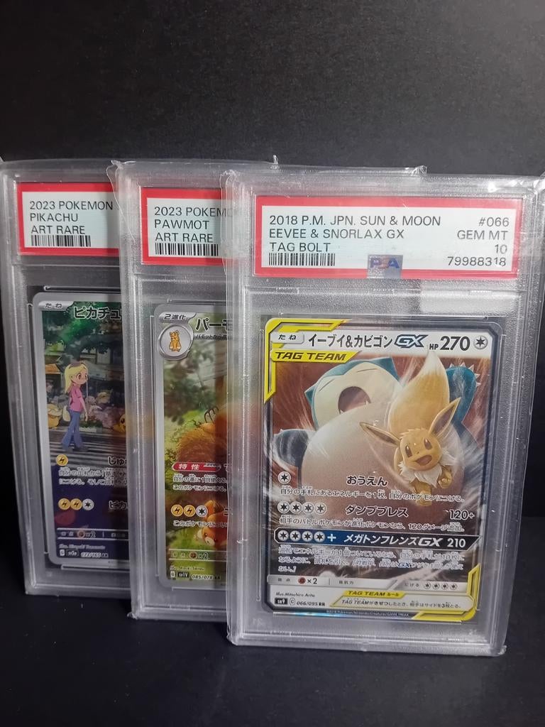 Cartes Pokémon recherchées (en japonais uniquement), Enlèvement ou Envoi