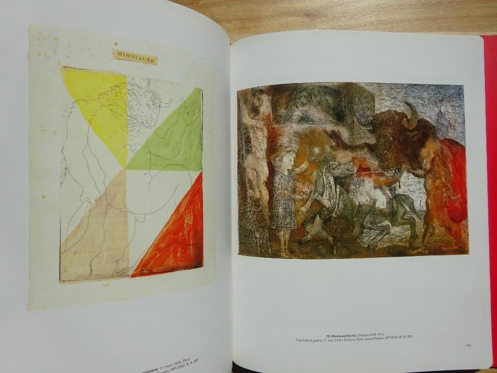 Picasso Surréaliste - fondation Beyeler, Flammarion 2005, Enlèvement ou Envoi, Neuf, Peinture et dessin