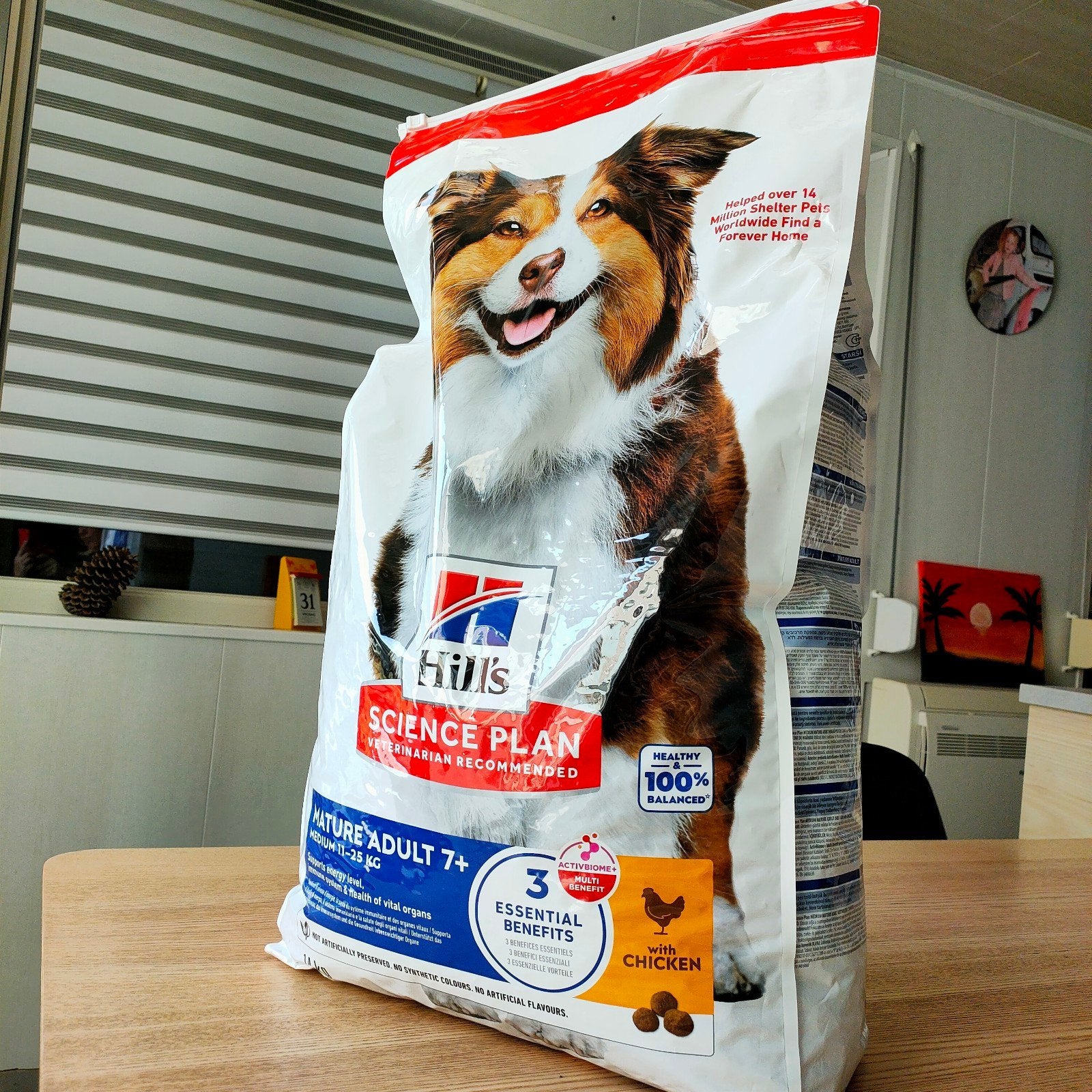 Hill's Science Plan met kip, Dieren en Toebehoren, Dierenvoeding, Ophalen, Hond