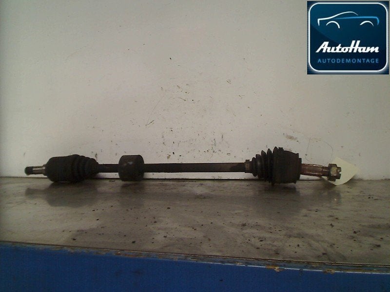 CARDAN AVANT DROIT (TRANSMISSION) Fiat Panda (169), Dhr. J. Ham, Administratie@autoham.nl, Utilisé, Fiat