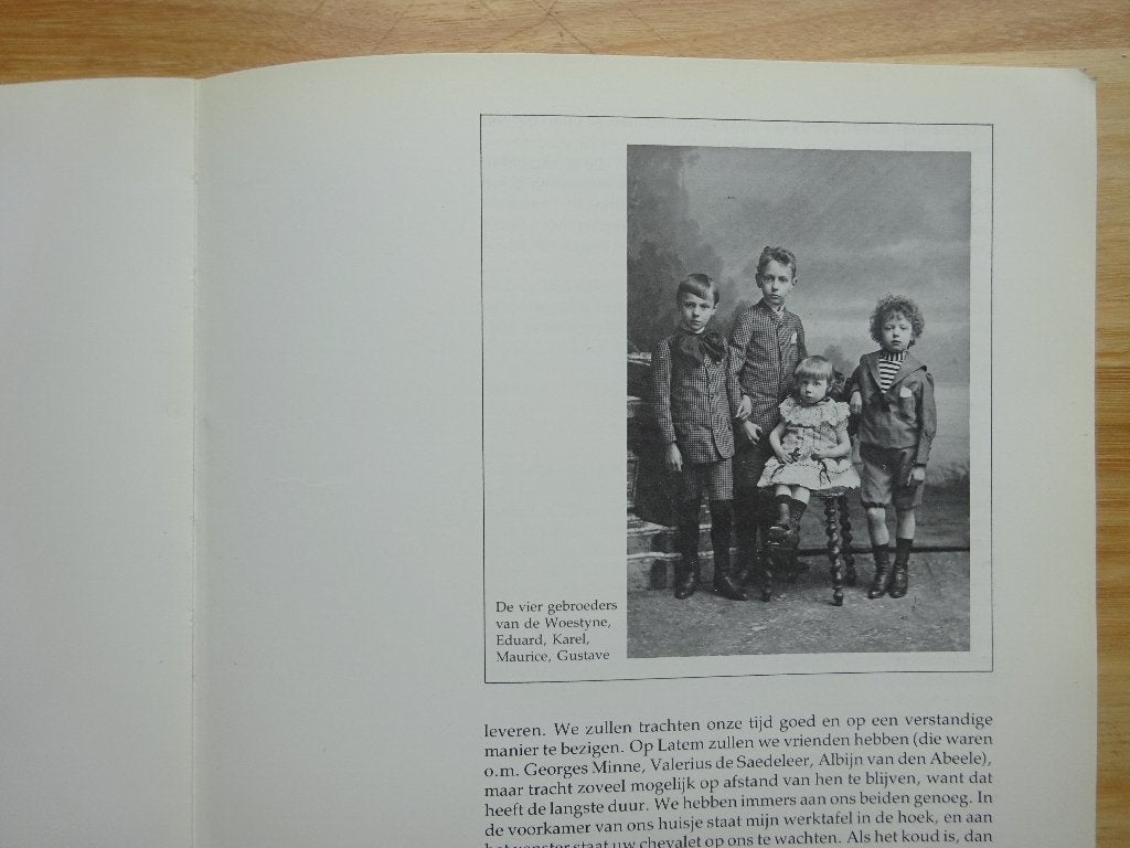 Gustave van de Woestyne, 1881-1947, KMSK Antwerpen, 1981, Boeken, Ophalen of Verzenden, Gelezen, Schilder- en Tekenkunst