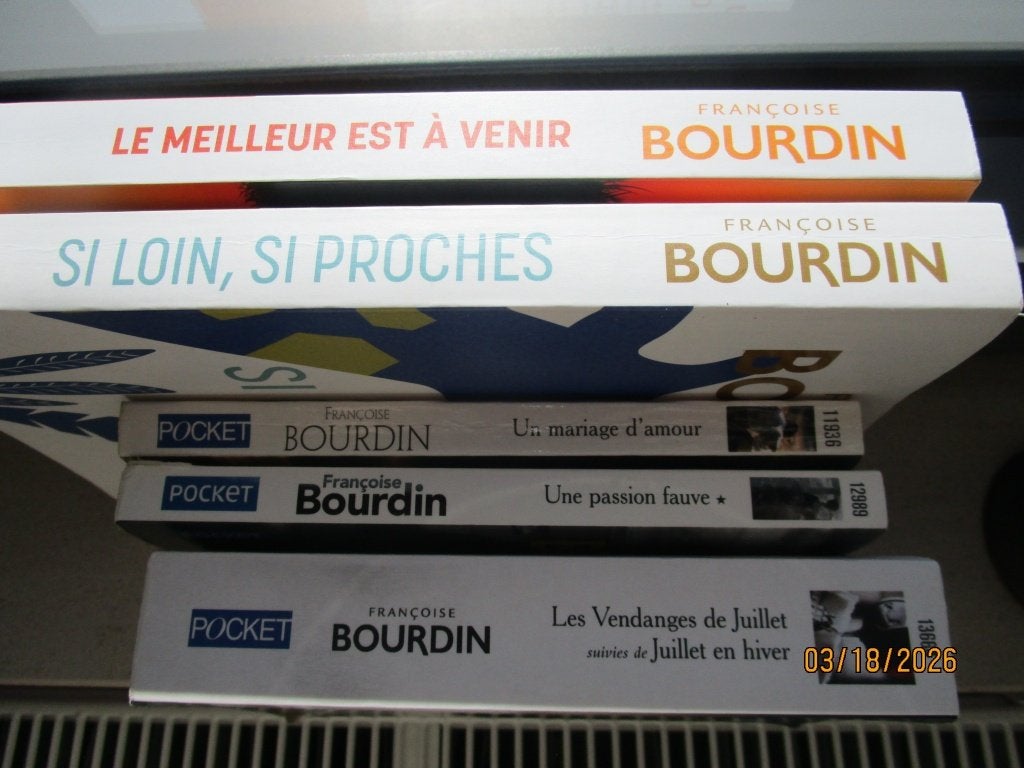 Lire Françoise Bourdin à petit prix! Sympa non?, Boeken, Romans, Gelezen, Ophalen