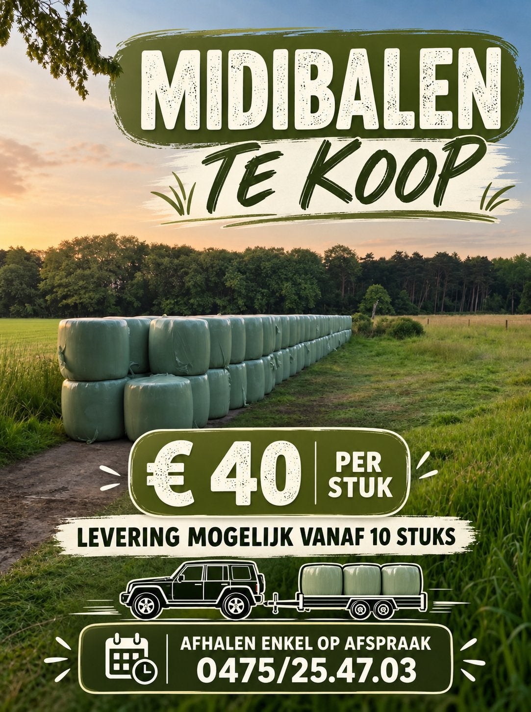 MIDIBALEN, Dieren en Toebehoren